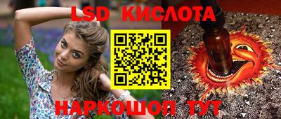 шишки Моздок