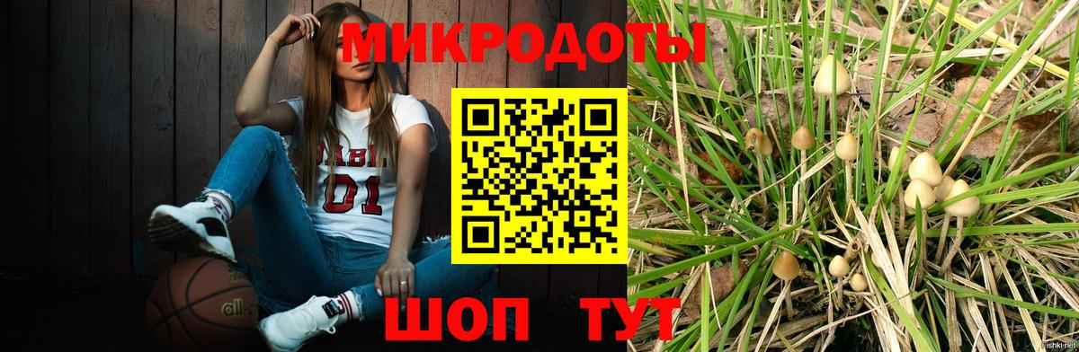 где купить наркоту  Вход с VPN  Удомля  Галлюциногенные грибы Cubensis 